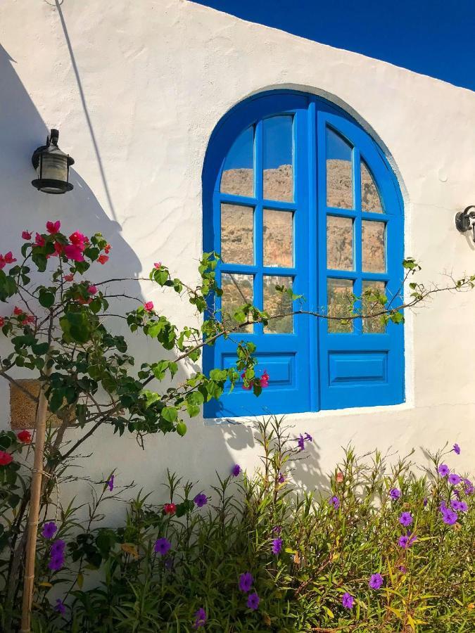 Pontoria Stegna Studios Archangelos  Exterior photo